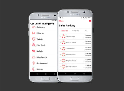 Car Dealer Intelligence - Mobile App Car Dealers - Applicazione Mobile
