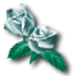 White Rose Translations Ltd