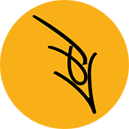 Lines & Beyond Design Agency logo