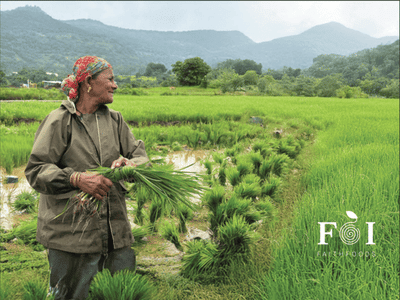 Building a Premium Farm-to-Consumer Brand Through Storytelling - Publicité