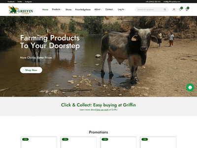 eCommerce Website - E-commerce