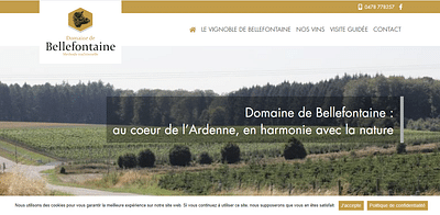 Vignoble de Bellefontaine - Website Creation
