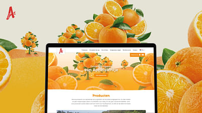 Branding & Websites Riedel - Website Creation