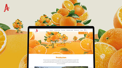 Branding & Websites Riedel - Website Creatie