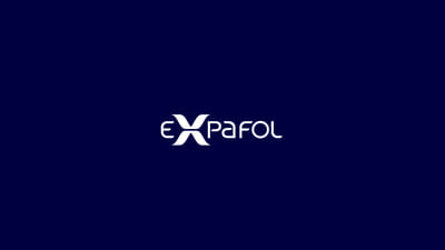 Auditoría y análisis SEO y SEM de Expafol - Stratégie digitale
