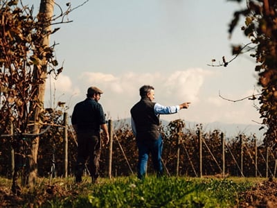 Tenuta Ambrosini: social, foto e video per una cantina - Social Media