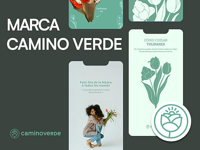 Creación de marca y página web - Website Creatie