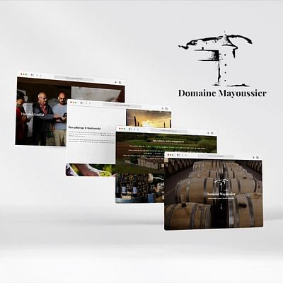 Site vitrine - Domaine de vin - Création de site internet