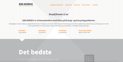 Website + Content for Consultant Company - Digitale Strategie