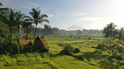 Leadgeneratie campagnes Basecamp Ecoresorts - Content Strategy