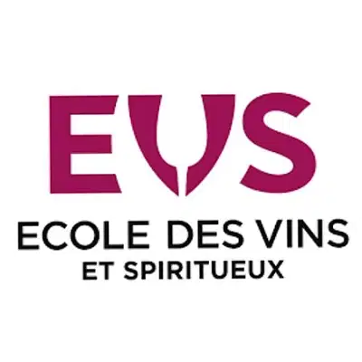 Acquisition de trafic pour EVS - Référencement naturel
