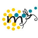 Mosquito