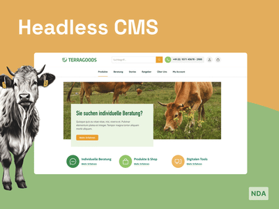 Headless Magento E-Commerce platform - Webseitengestaltung