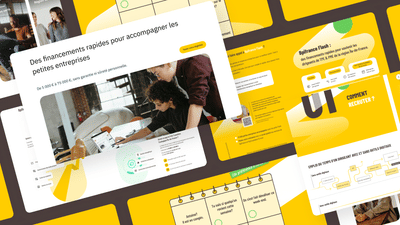 Bpifrance Flash: Clarifying and Elevating Financing Services for SMEs - SEO