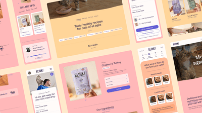 Blink Cat Food: Refining the web and subscription experiences - Webseitengestaltung
