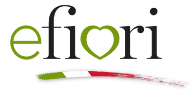 We optimised Efiori’s florist network - Usabilidad (UX/UI)