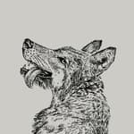 Smiling Wolf logo