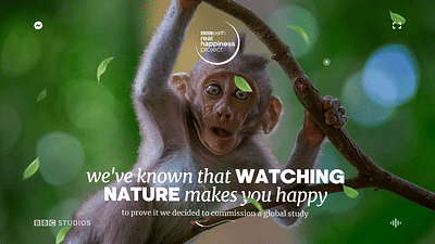 BBC Website Creation - Website Creation