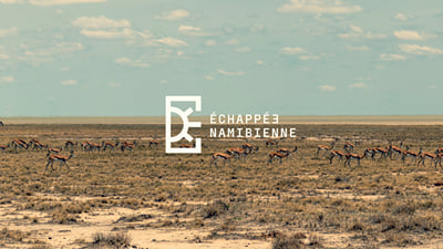 Echappée Nambienne - Branding & Positioning