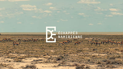 Echappée Nambienne - Image de marque & branding