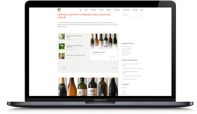 Création et réalisation du webzine Eric Boschman - Branding & Positionering
