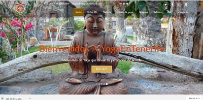 Web para Consultas y Talleres de Yoga - Web analytics/Big data