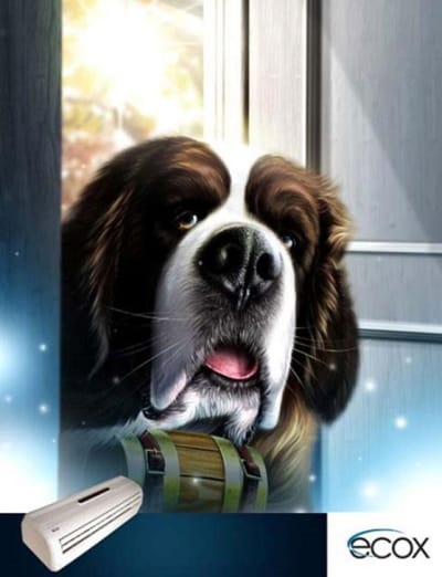Rescuer dog - Advertising
