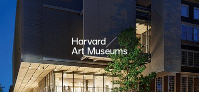 Harvard Art Museums website - Création de site internet
