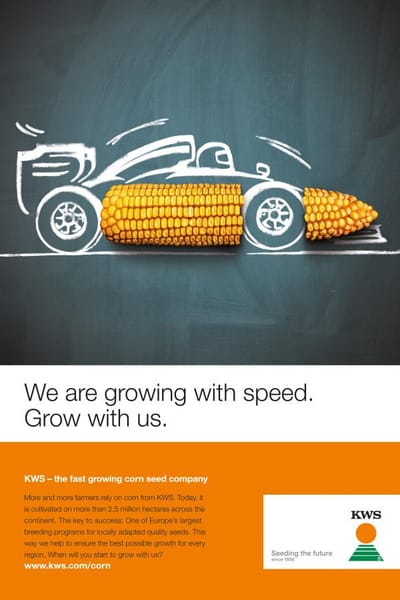 KWS CORN CAMPAIGN - Advertising