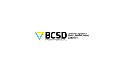 BCSD - Branding y posicionamiento de marca