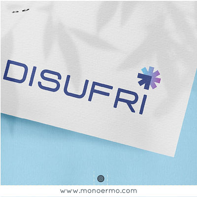 Disufri - Branding y posicionamiento de marca