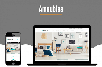 Ameublea - boutique en ligne - Web analytics / Big data