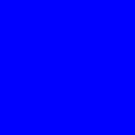 Bureau Visueel