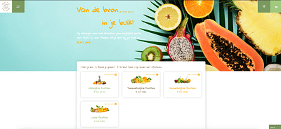 Webproject Healthy Culture - Ontwerp
