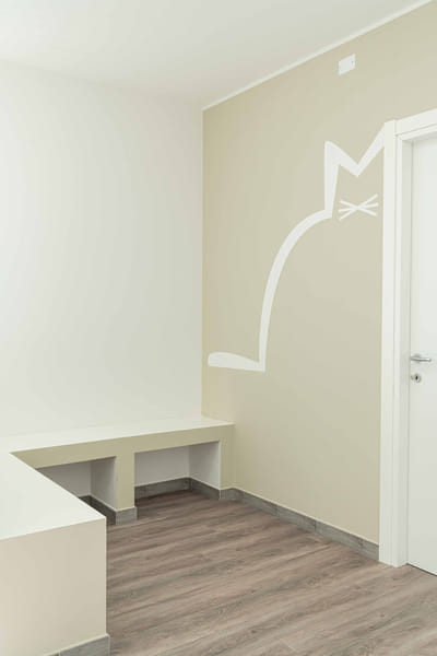 VET, La clinica per cani e gatti - Website Creation
