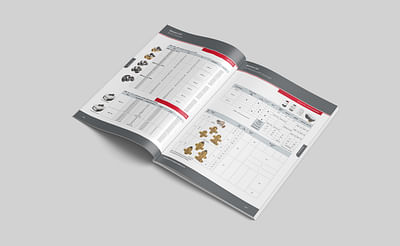 Catalogue régulation chauffage - Graphic Design
