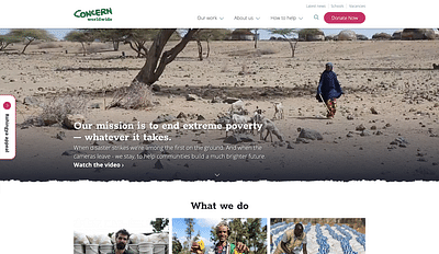 Website build for Concern Worldwide - Website Creation