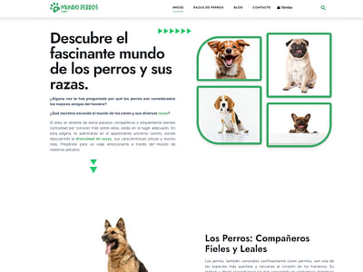 Mundo Perros - SEO