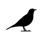 Zorzal Contenidos logo