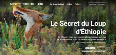 Application web - VOD films animaliers - Application web