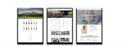 Portafolio - Website Creatie