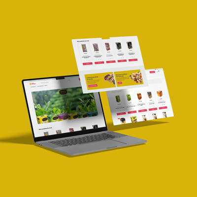 Plateforme e-commerce pour la vente de produits alimentaires ethniques - Création de site internet