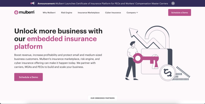 Front End Development for Mulberri - Website Creation