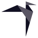 straightvisions GmbH logo
