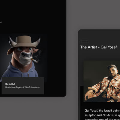 Crypto Bull Society // Website - Branding & Positioning