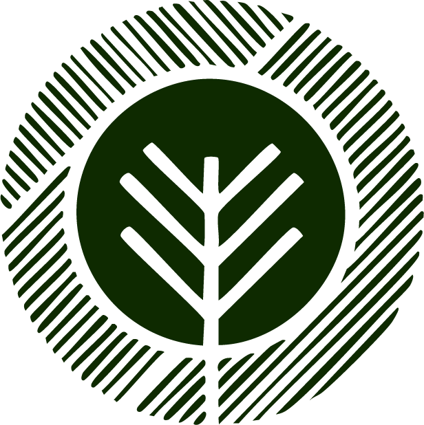 Canopy Creative