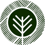 Canopy Creative logo