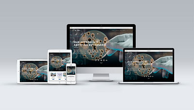Pharmascience's website design - Website Creation