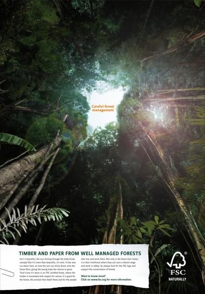 CAREFUL FOREST MANAGEMENT - Advertising