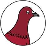 Red Pigeon Media